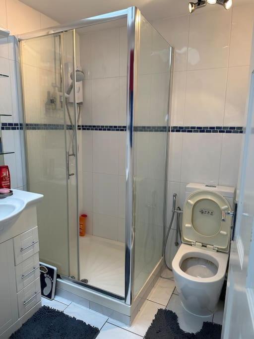 Redbridge Amazing Gantshill Studio Annexe & Free Parking מראה חיצוני תמונה